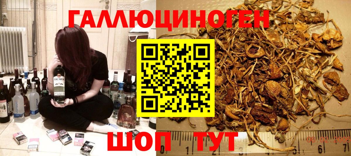 Галлюциногенные грибы прущие грибы Унеча